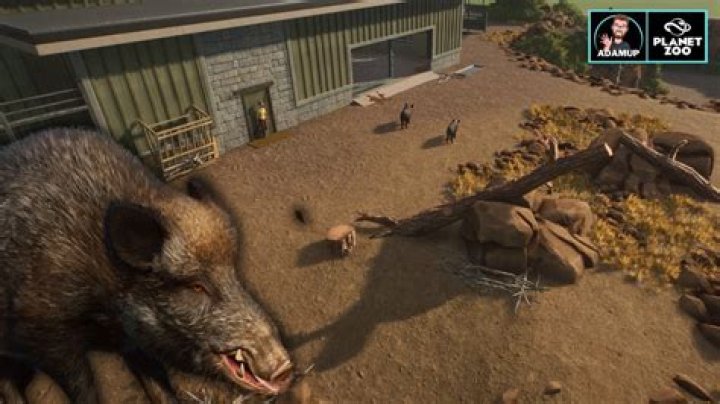 Exploring the Artofzoo Boar Corp Concept: What's the Buzz About?