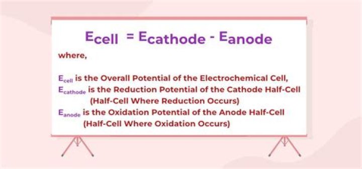 Exploring the Potential of xqxx: A Look at What's Next