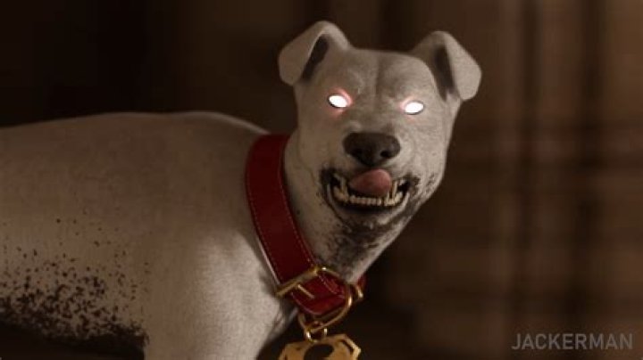 Jackerman Movie: The Ultimate Blockbuster Experience You Don't Want to Miss