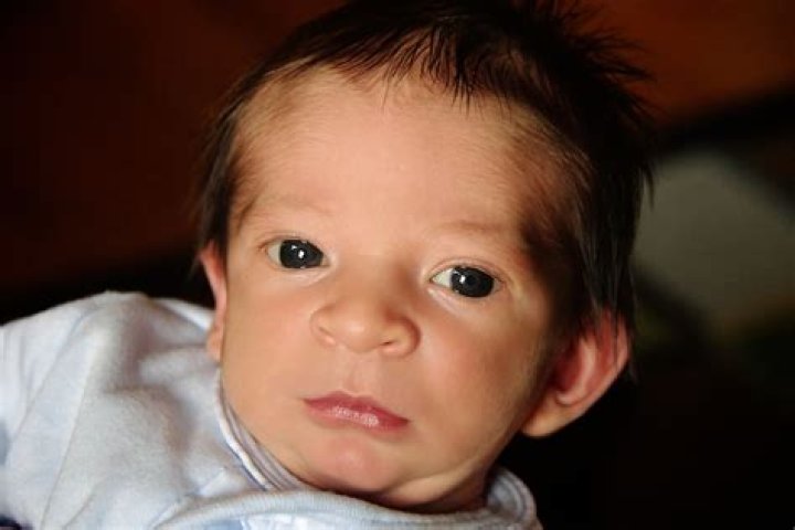 Liam Hoekstra Age: Unpacking the Story of a Young Phenomenon