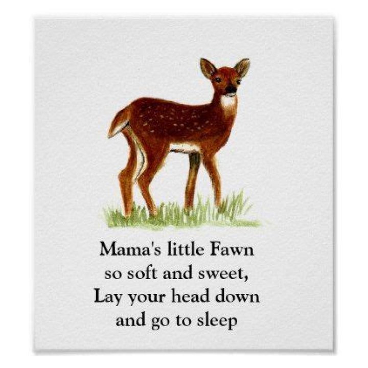 Mama's Too: Why Every Mom Deserves Her Own Space and Time