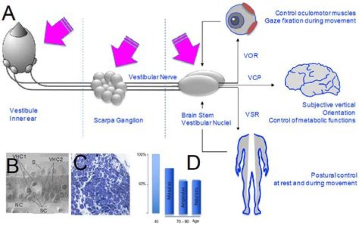 Sasha Prasad: Uncovering the Many Facets of a Digital Star and Creative Mind
