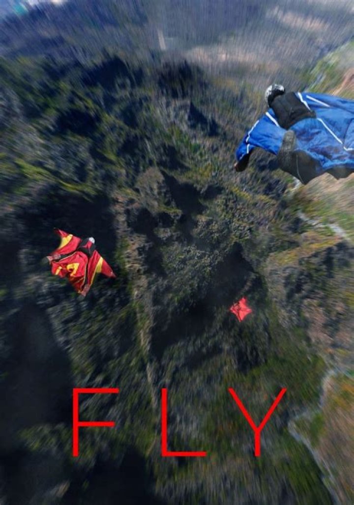 Spotting the Flimy Fly: Why Tiny Movie Details Win Big in Trivia