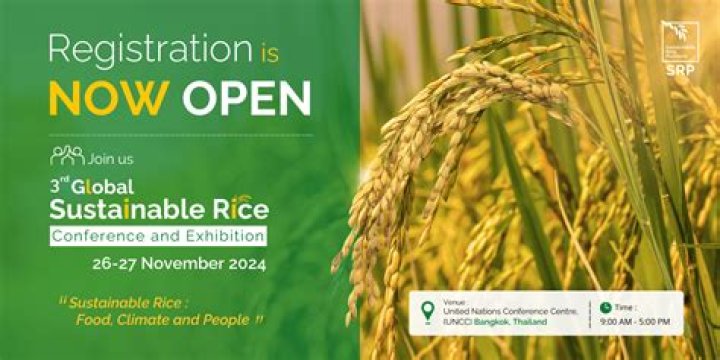 The Rice Team Unveiling the Powerhouse Behind Sustainable Rice Production