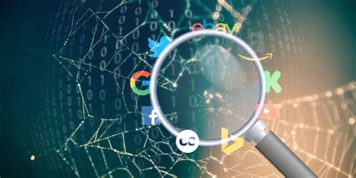 Understanding Milenavelba: A Look at Online Searches and Viral Content