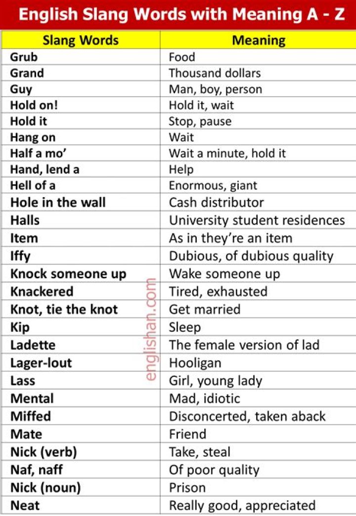 Unpacking "Ripped Reiley": Understanding a Common Slang Term