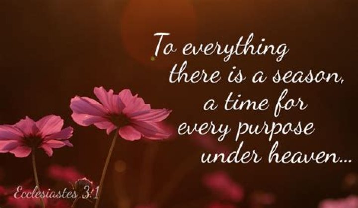 Unveiling the World of Hub: Your Ultimate Destination for Everything Under the Sun