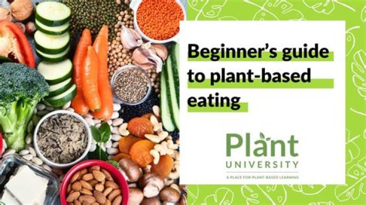 Vegemovies: The Ultimate Guide to Plant-Based Cinema Adventures