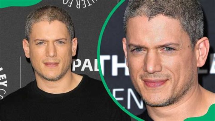 Wentworth Miller's Relationship Status: What We Know About His Partner Today