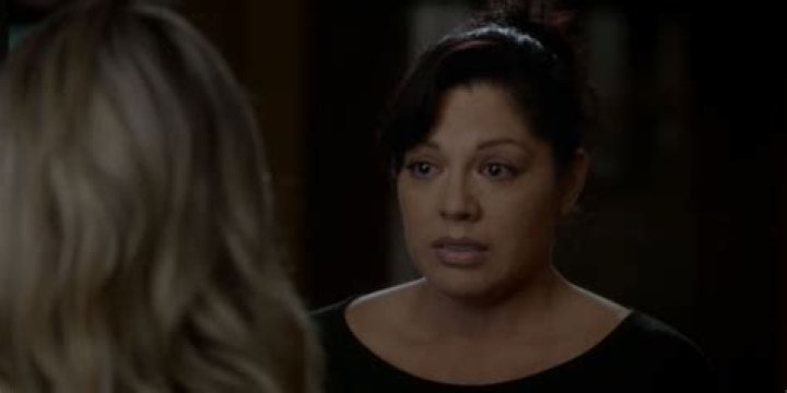 When Does Callie Leave Grey's Anatomy? Everything Fans Need to Know