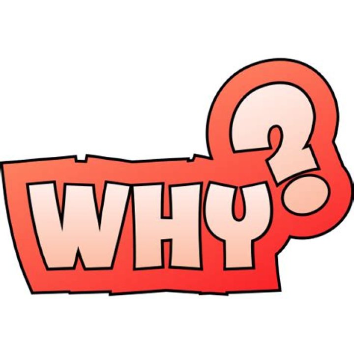 Why Fly Filmy Movies is the Ultimate Destination for Movie Buffs