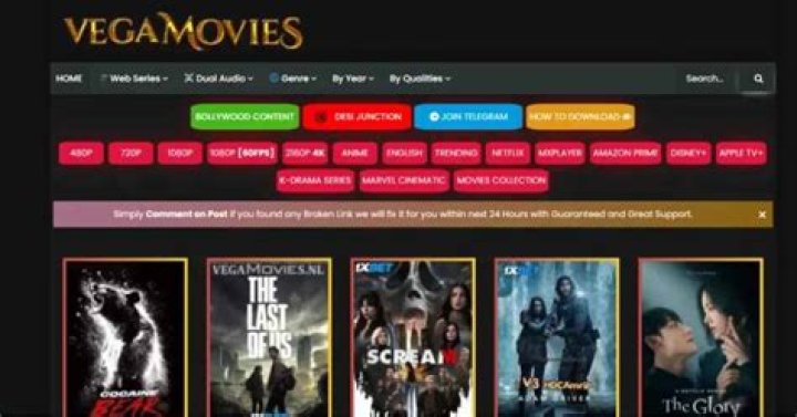 Why Vegamovies.com Movies Are a Must-Watch for Streaming Enthusiasts